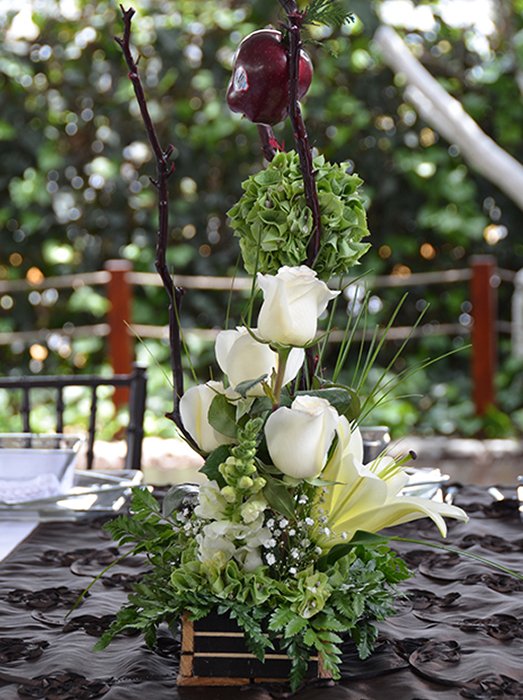 Jardin de Eventos Madeira Tepotzotlan