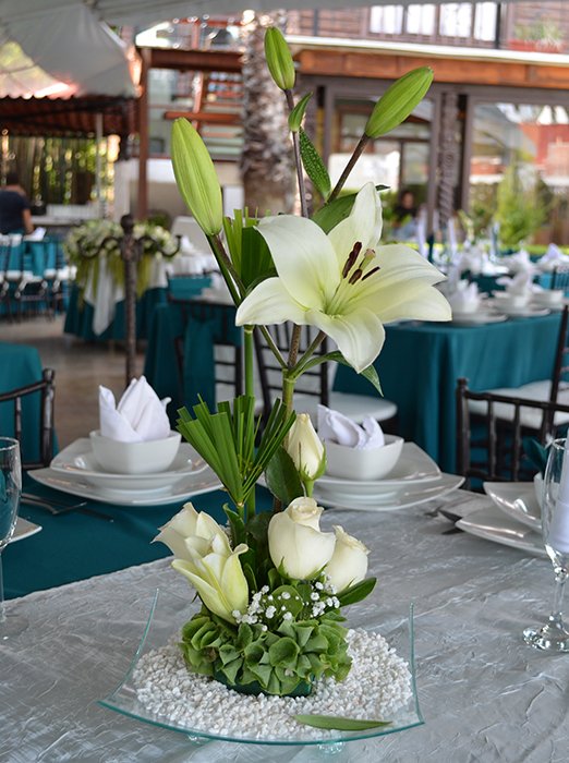 Jardin de Eventos Madeira Tepotzotlan