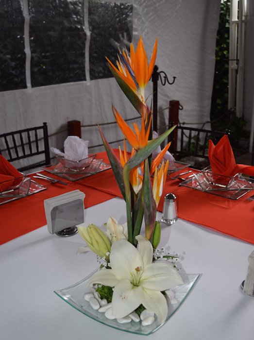 Jardin de Eventos Madeira Tepotzotlan
