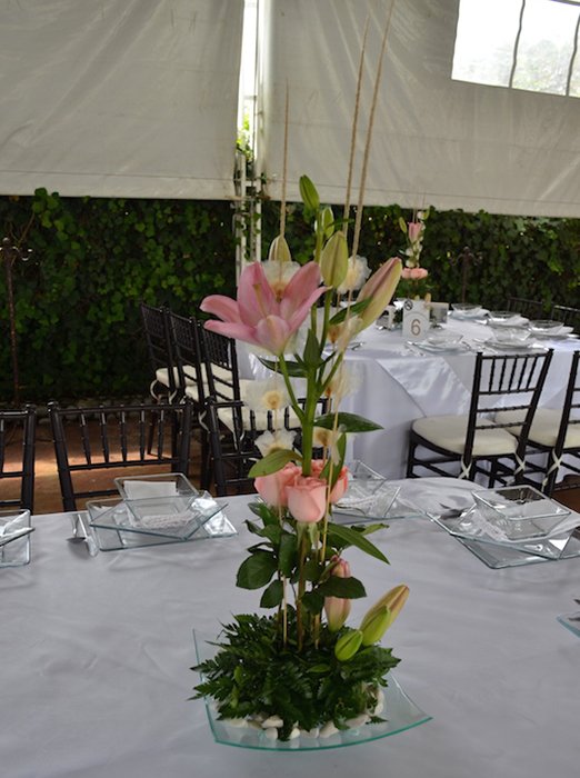 Jardin de Eventos Madeira Tepotzotlan