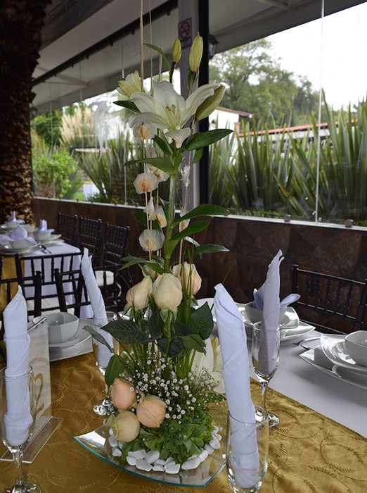 Jardin de Eventos Madeira Tepotzotlan