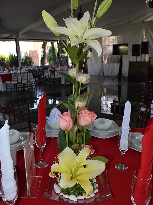 Jardin de Eventos Madeira Tepotzotlan