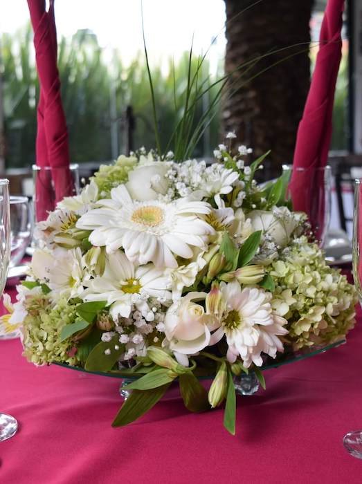 Jardin de Eventos Madeira Tepotzotlan