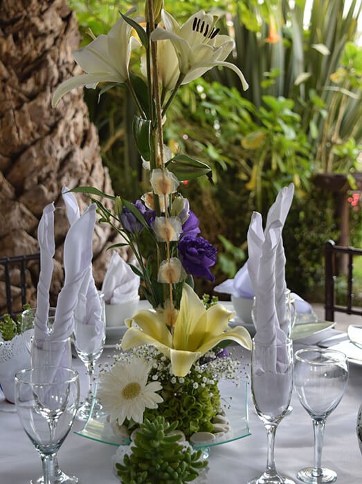 Jardin de Eventos Madeira Tepotzotlan