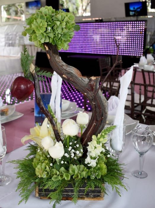 Jardin de Eventos Madeira Tepotzotlan