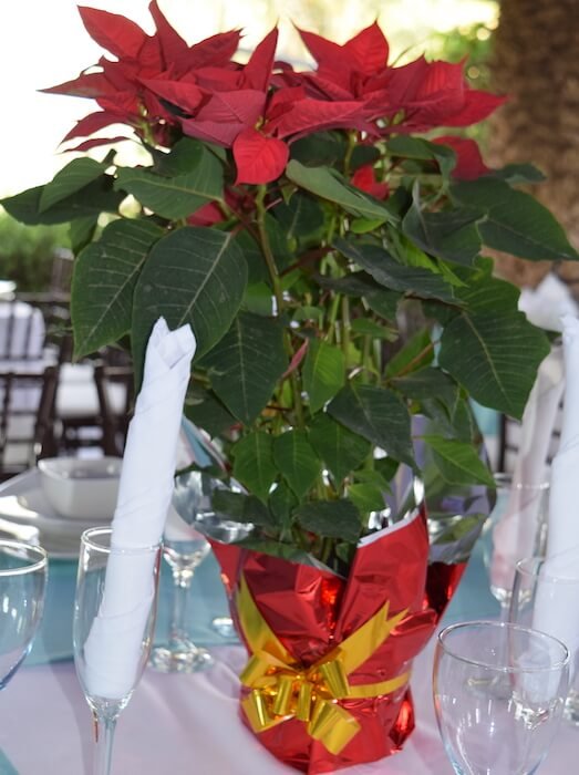 Jardin de Eventos Madeira Tepotzotlan