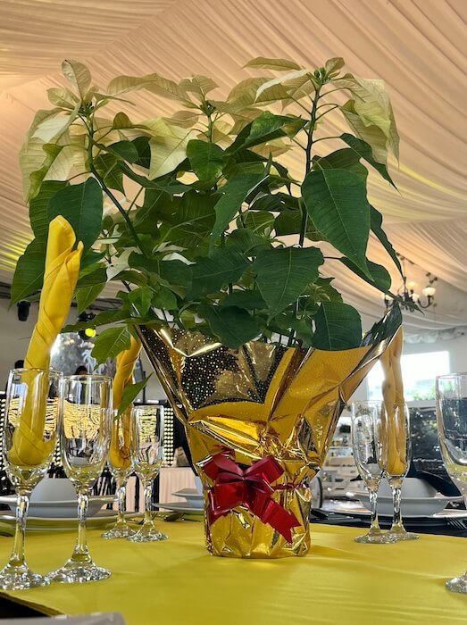 Jardin de Eventos Madeira Tepotzotlan